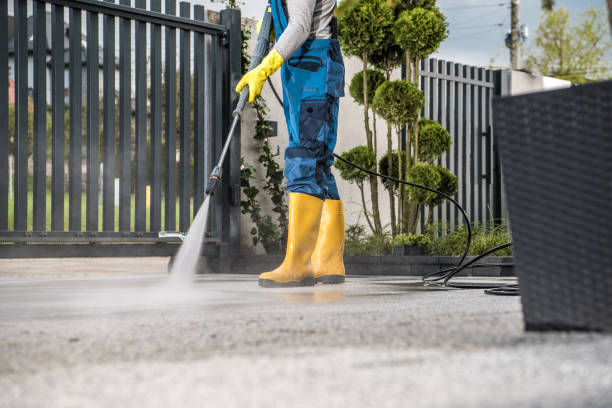 Best Roof Washing  in Kenilworth, NJ